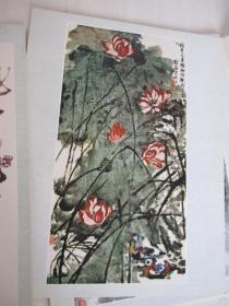 中国画新作品选（25张活页）