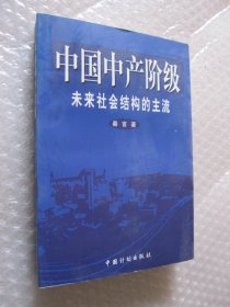 中国中产阶级:未来社会结构的主流