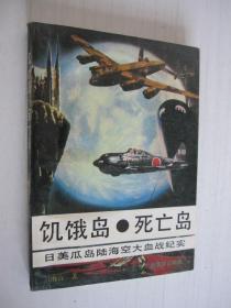 饥饿岛、死亡岛:日美瓜岛海陆空大血战纪实
