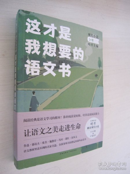 这才是我想要的语文书现代小说分册