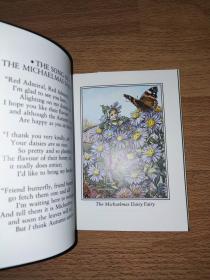 Flower Fairies of the Autumn Cicely Mary Barker 英文版 精装 口袋本