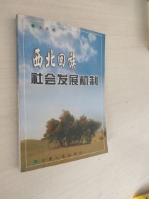 西北回族社会发展机制