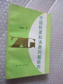 中国积累和消费问题研究