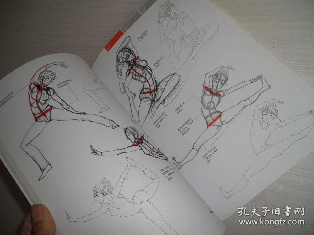 漫画初学者入门教程：女性角色的画法