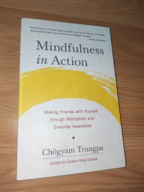Mindfulness in Action: Making Friends with Yourself through Meditation and Everyday Awareness 英文版 正版
