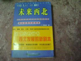 未来西北: 大西北希望之年的视野景观:西北发展的新剧本