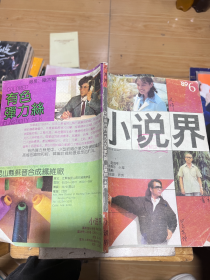 小说界 文学双月刊 1989年第六期 总第四十七期