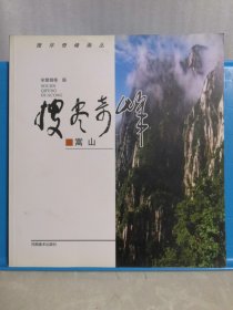 搜尽奇峰画丛 嵩山