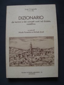 DIZIONARIO dei termini e dei concetti usati nel dialetto castellino 意大利语词典 平装本 1997年意大利出版 意大利语原版