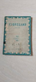 文字改革是怎么回事 【32开 品相 看图下单】