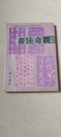 书法奇观 【16开 书内有点受水 品相 看图下单】