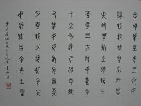 【8—1078】 黄亮伟（自幼酷爱书画艺术历50余年研习不辍书画浸润了关山月、黎雄才、麦华三、启功等大师的痕迹，而又自成一格。现为肇庆书美协会员又是中国著名书画艺术大师黄幻吾的侄 ）《云南纳西东巴文字诗》硬笔书法 保证手写 源于书画艺术家本人 硬纸（卡纸） 长54X宽38（CM）品相如图 未裱