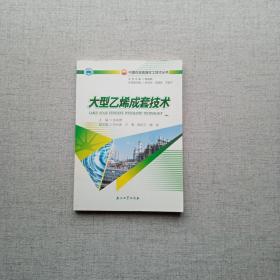 大型乙烯成套技术 中国石油炼油化工技术丛书