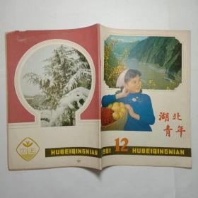 湖北青年1981年第12期