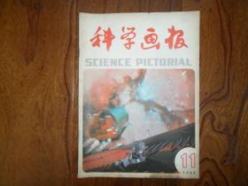 科学画报【1984年11月号】