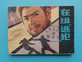 在缉逃犯.....（原名：戴手铐的旅客）