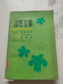 浩然文集