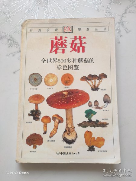 蘑菇：全世界500多种蘑菇的彩色图鉴