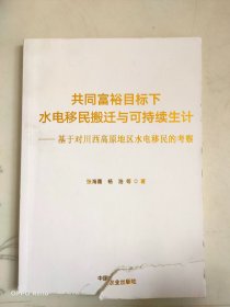 共同富裕目标下水电移民搬迁与可持续生计 党和国家重要文献 张海霞//杨浩|责编:潘洪洋 新华正版