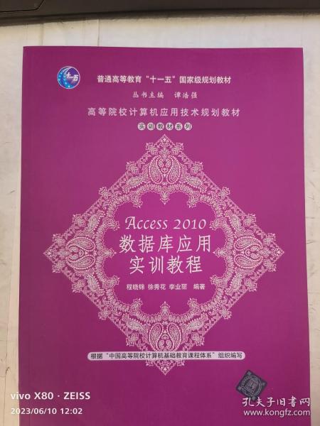 高等院校计算机应用技术规划教材·实训教材系列：Access 2010数据库应用实训教程