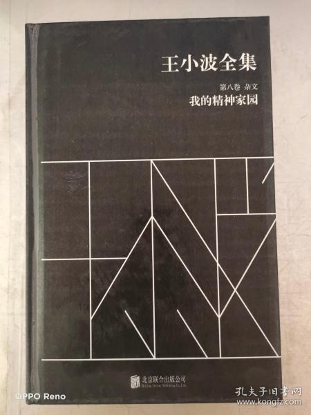 王小波全集（第八卷 杂文）：我的精神家园