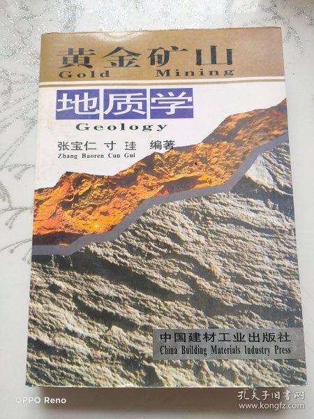 黄金矿山地质学