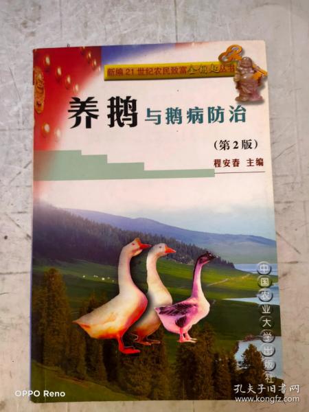 养鹅与鹅病防治