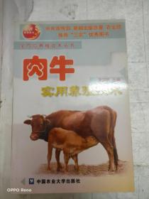 全方位养殖技术丛书：肉牛实用养殖技术