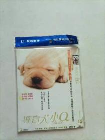 导盲犬小Q DVD