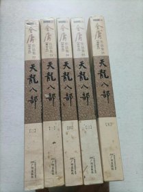 金庸作品集：天龙八部