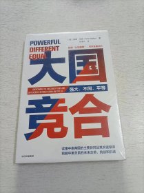 大国竞合：把握中美关系的未来走势、挑战和机遇