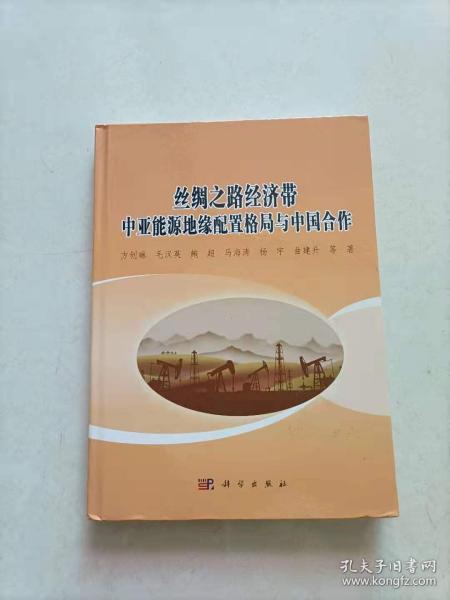 丝绸之路经济带中亚能源地缘配置格局与中国合作