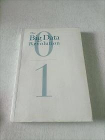 大数据：正在到来的数据革命，以及它如何改变政府、商业与我们的生活