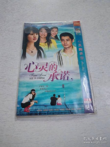 心灵的承诺 2DVD