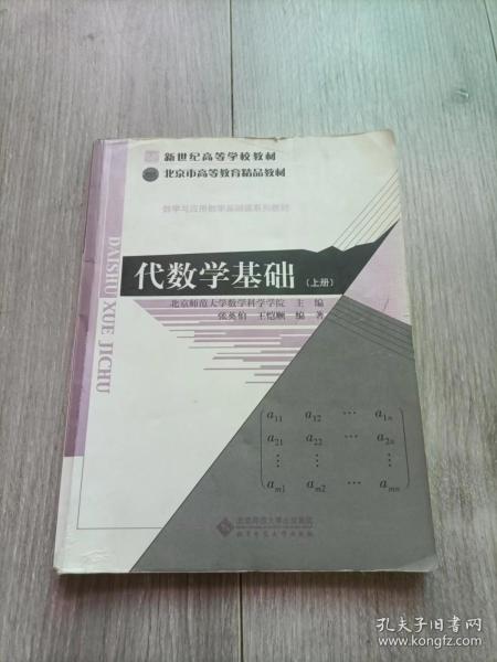 代数学基础（上册）