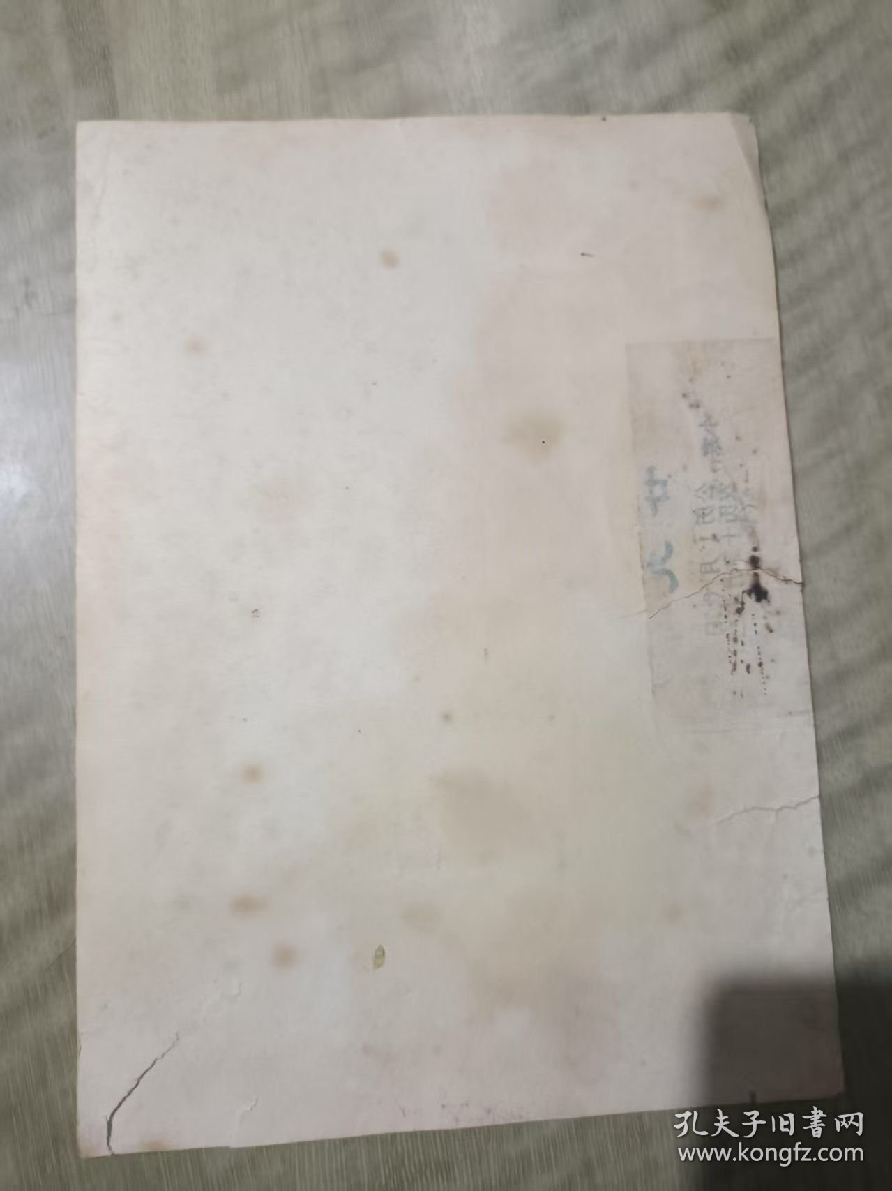 老照片 江西省井冈山革命博物馆 合影留念 2078