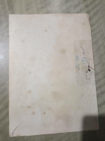 老照片 江西省井冈山革命博物馆 合影留念 2078