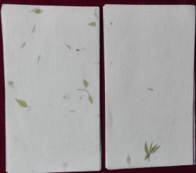 绿茶信笺 【手工（？）宣纸，11张】