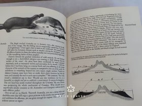 Charles Darwin and his World , by Julian Huxley and H. B. D. Kettlewell 瑕疵见图 有些页边角有折痕