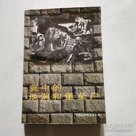 冀中的地洞和堡垒户 杜敬编 中国社会科学  货号A4