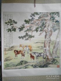 朴宏熙画 画的松树马 画的不错 大张 保真 如图 货号CC4