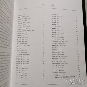 周小军画集 油画卷 1 精装8开 中国文联出版社 石永青 葛文珠著 货号BB7