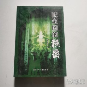 藏宝图的秘密 李文斌签名 河北少年儿童出版社   货号N4