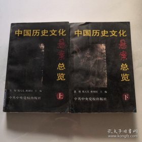 中国历史文化悬案总览上下 中共中央大学出版社 沈原编 货号N4