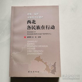 西北各民族在行动 抢救 保护非物质文化遗产 货号BB4