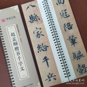 华夏万卷 近距离临摹字卡 赵孟頫楷书千字文 字帖毛笔书法临摹高清放大碑帖墨迹本 成人初学者正楷近距离临摹字卡