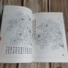 中国画线描 牡丹画谱