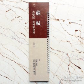 苏轼赤壁赋黄州寒食帖 经典碑帖 近距离临帖摹字练习卡