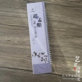 赵孟頫小楷高上大洞玉经 近距离临摹字帖练习卡