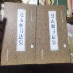 赵孟頫书法集上下全2册 历代大师碑帖经典 天津人民美术